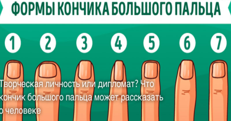 форма ногтей для пальцев. форма руки хиромантия. формы больших пальцев рук. типы большого пальца. характер по пальцам рук.